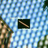 David Gray : White Ladder